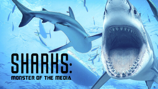 Sharks: Monster Of The Media